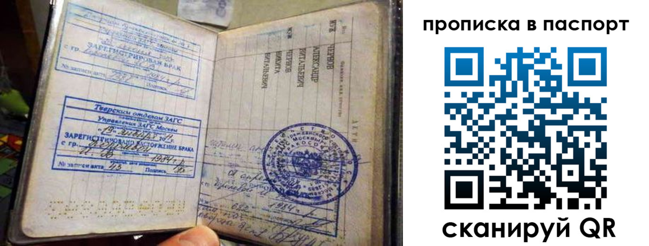 прописка поиск в Вязьме